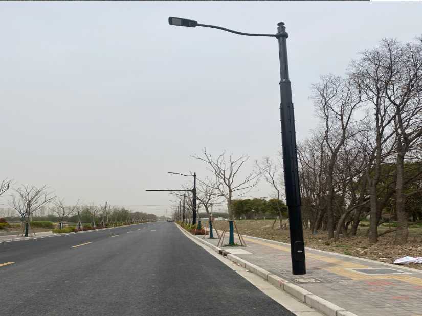 定边县上海综合杆 太阳能路灯工程